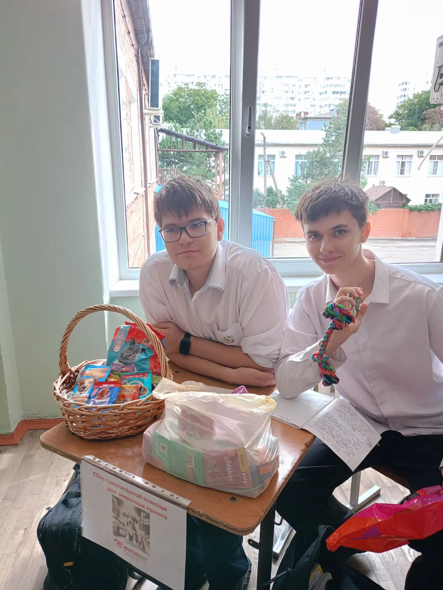 🐾 Добро не уходит на выходные и праздники! Продолжаем помогать «Краснодогу»
