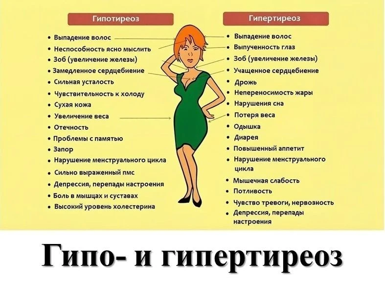 ГИПО – И ГИПЕРТИРЕОЗ