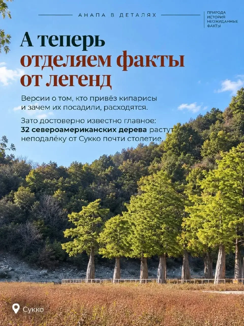 Осень в Анапе окрашивается в огненно-оранжевый цвет 🍁