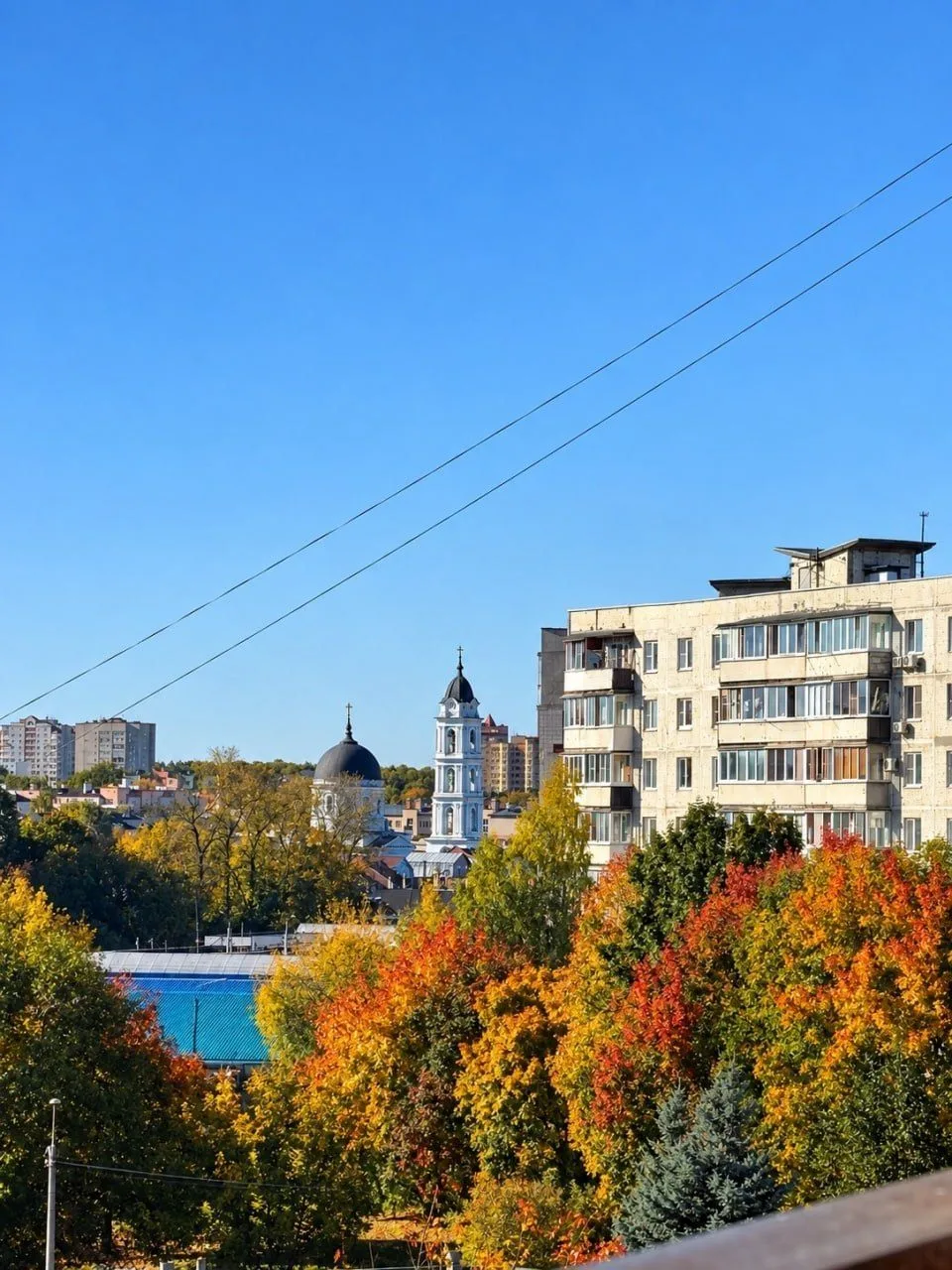 Красивая осень в этом году😍