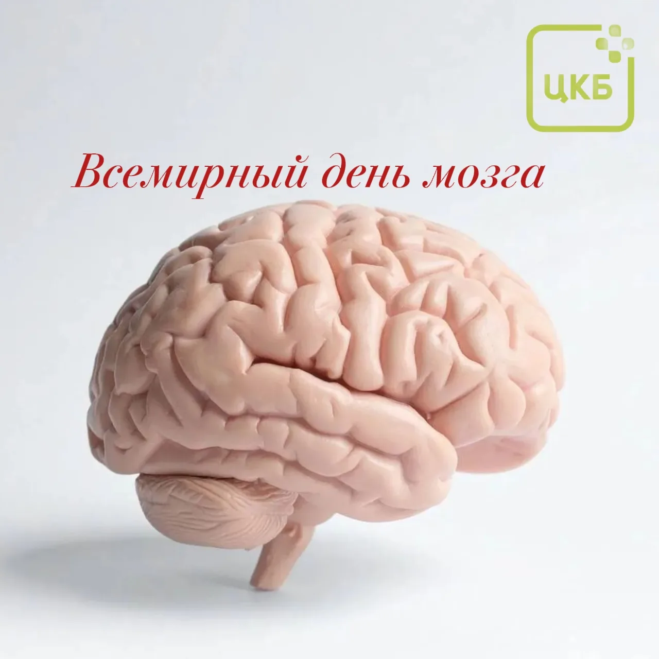 Сегодня, 22 июля, весь мир отмечает Всемирный день мозга!