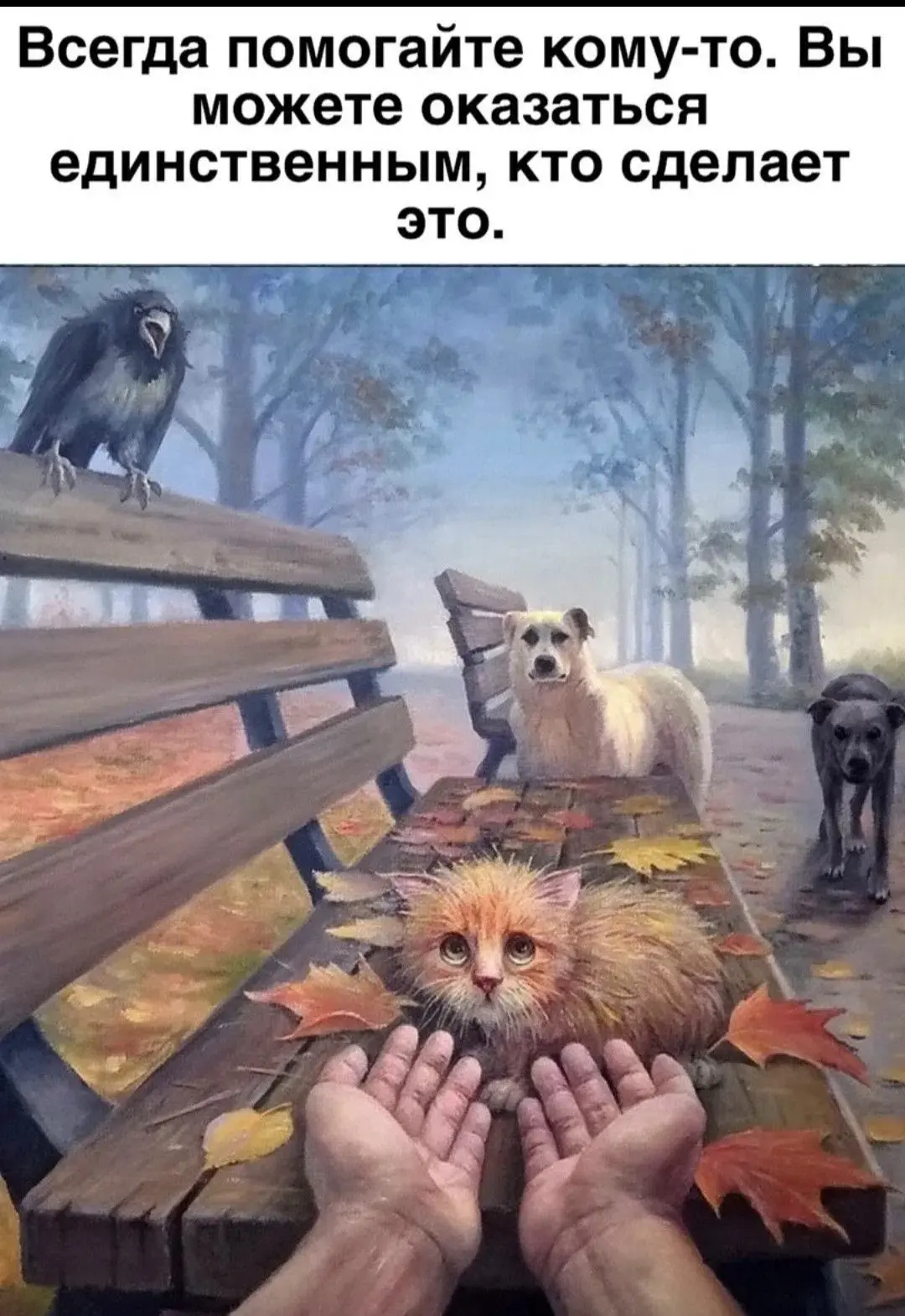 "Сострадание к животным так тесно связано с добротою характера, что можно с уверенность...