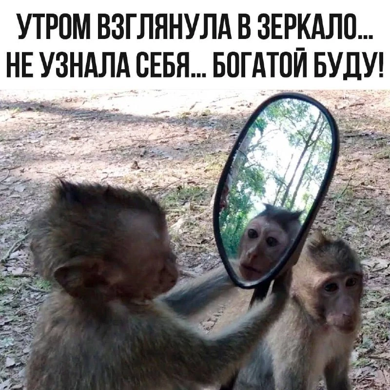 👉 👈