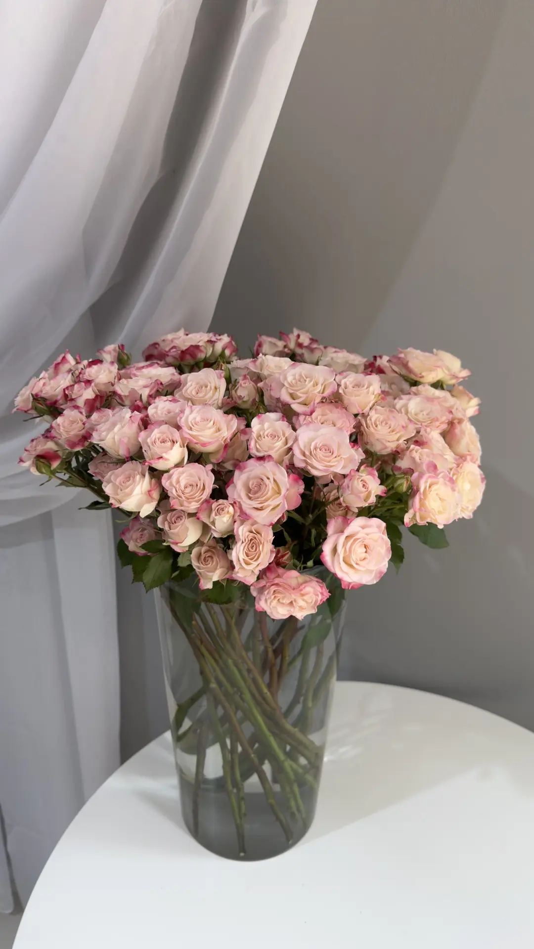 Свежая поставка роз уже в ПроЦветы!🌹

Нежные кремовые, яркие розовые, благородные красные и эффектн
