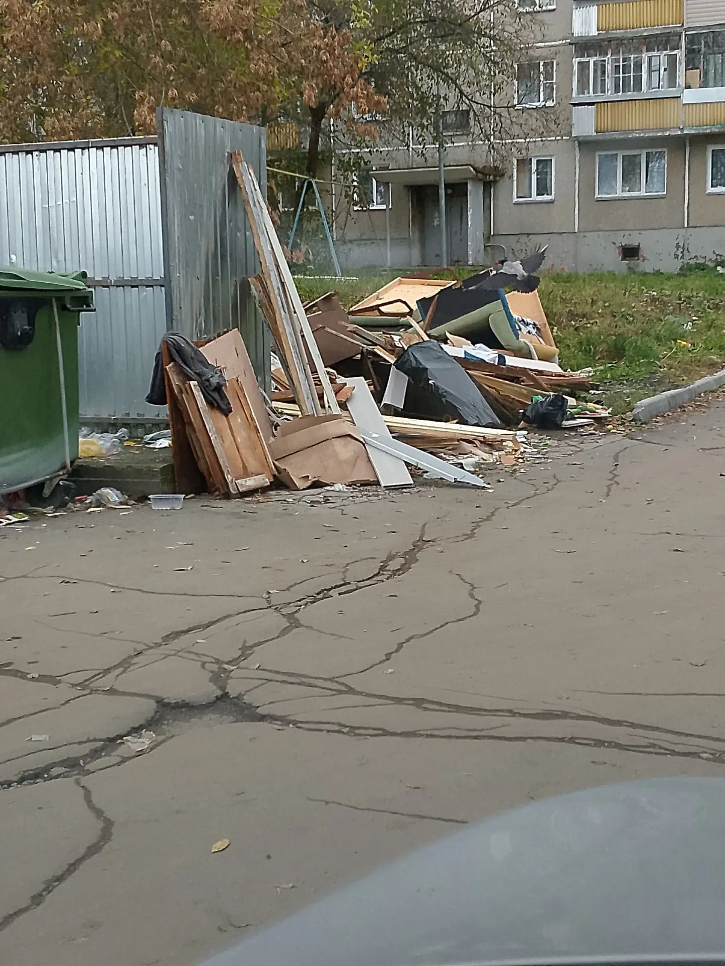 Набережная, 47 . Баки со сломанными крышками ,один, из из него птицы раздирают пакеты ,...