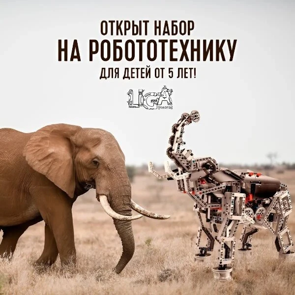 Робототехника для детей в Красноярске!