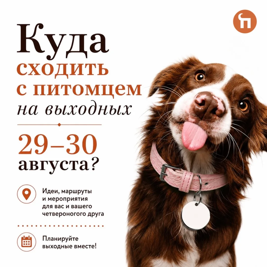 😉Выходные с питомцем: куда сходить 29–30 августа?