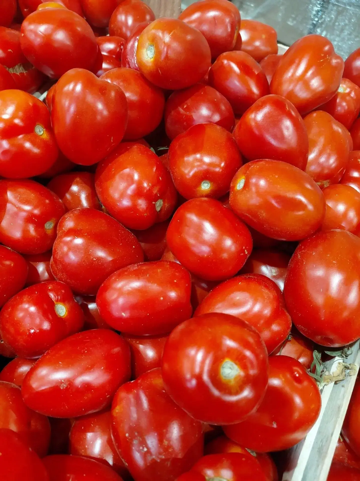 🍅🥔