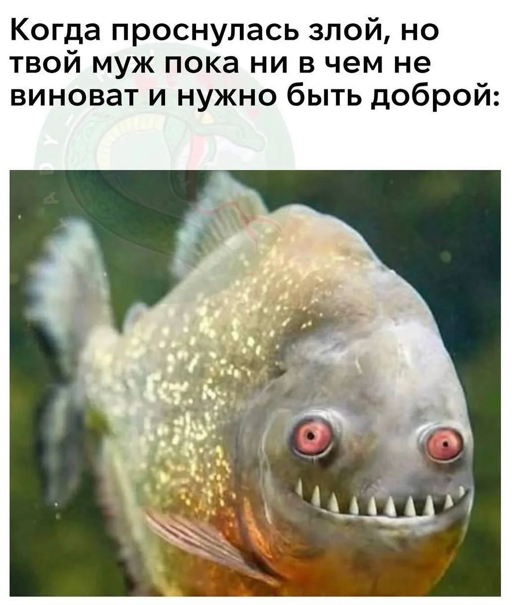 😂😂😂😂