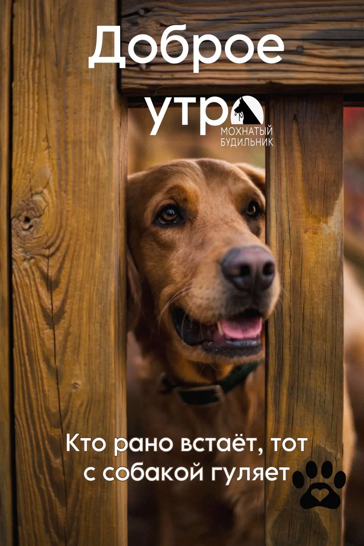 Понравилась открытка? Оставьте реакции ❤️

Не забудьте подписаться на канал 👇 
Душевные Открытки