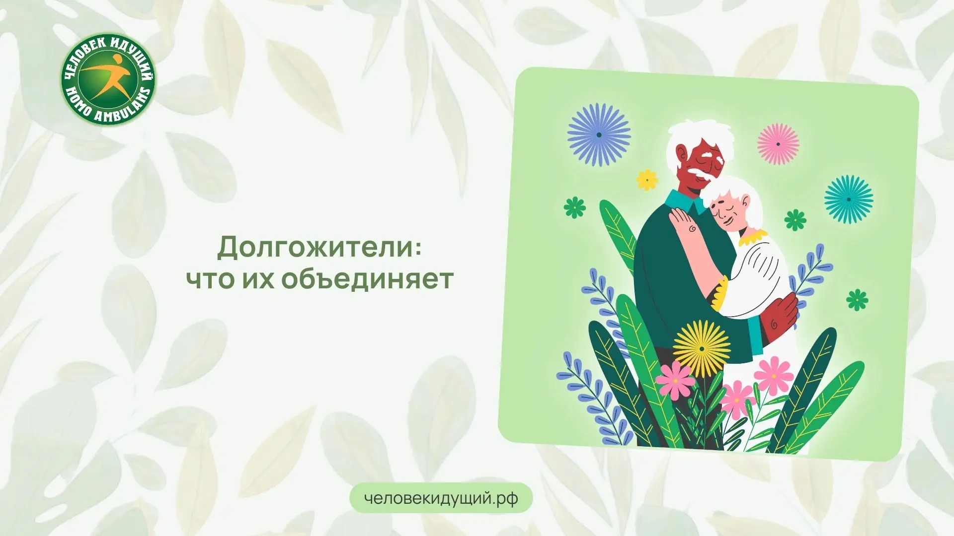 Что общего у долгожителей? Учёные выяснили: дело не только в питании и движении, но и в...