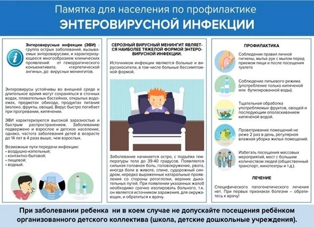 Памятка профилактики энтеровирусной инфекции
🦠 Энтеровирусные инфекции — это группа инфекционных за