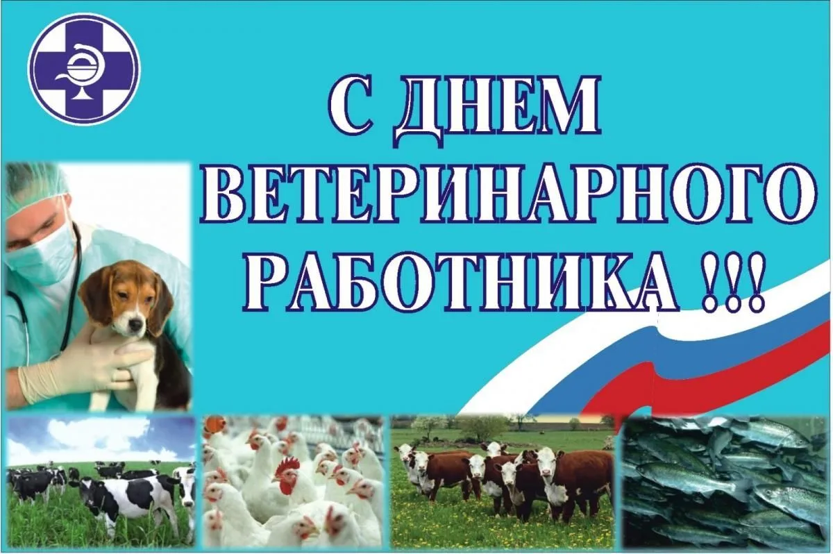 💥Уважаемые ветераны и работники ветеринарной службы Кугарчинского района!