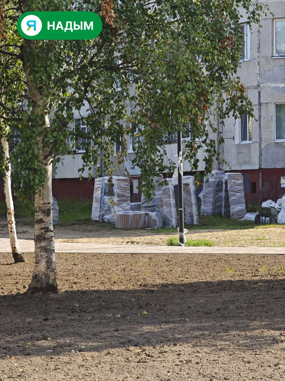 🌳 Благоустройство в Надыме идёт полным ходом

Прямо сейчас преображается будущий сквер «65 параллел