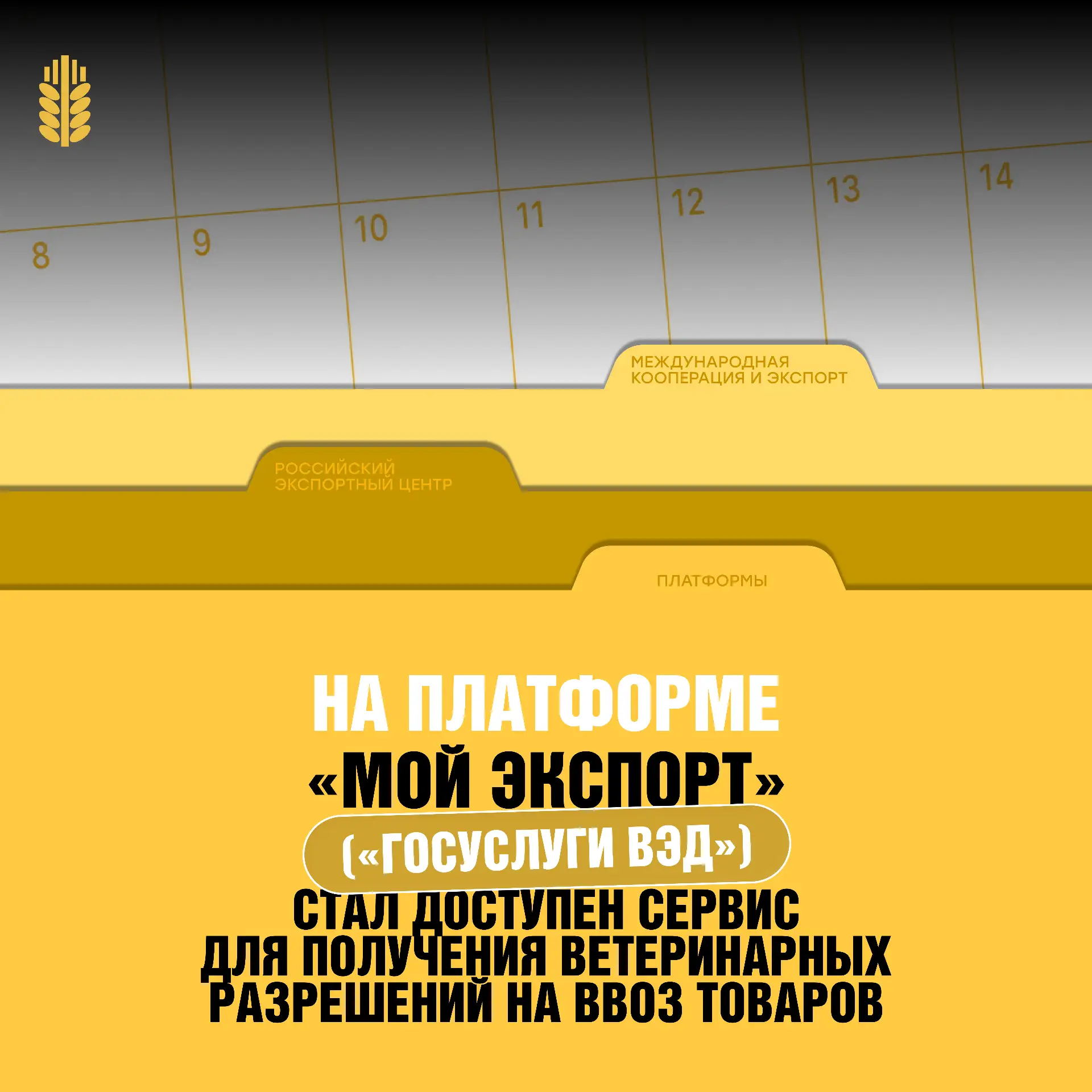 Как оформить ветеринарное разрешение?