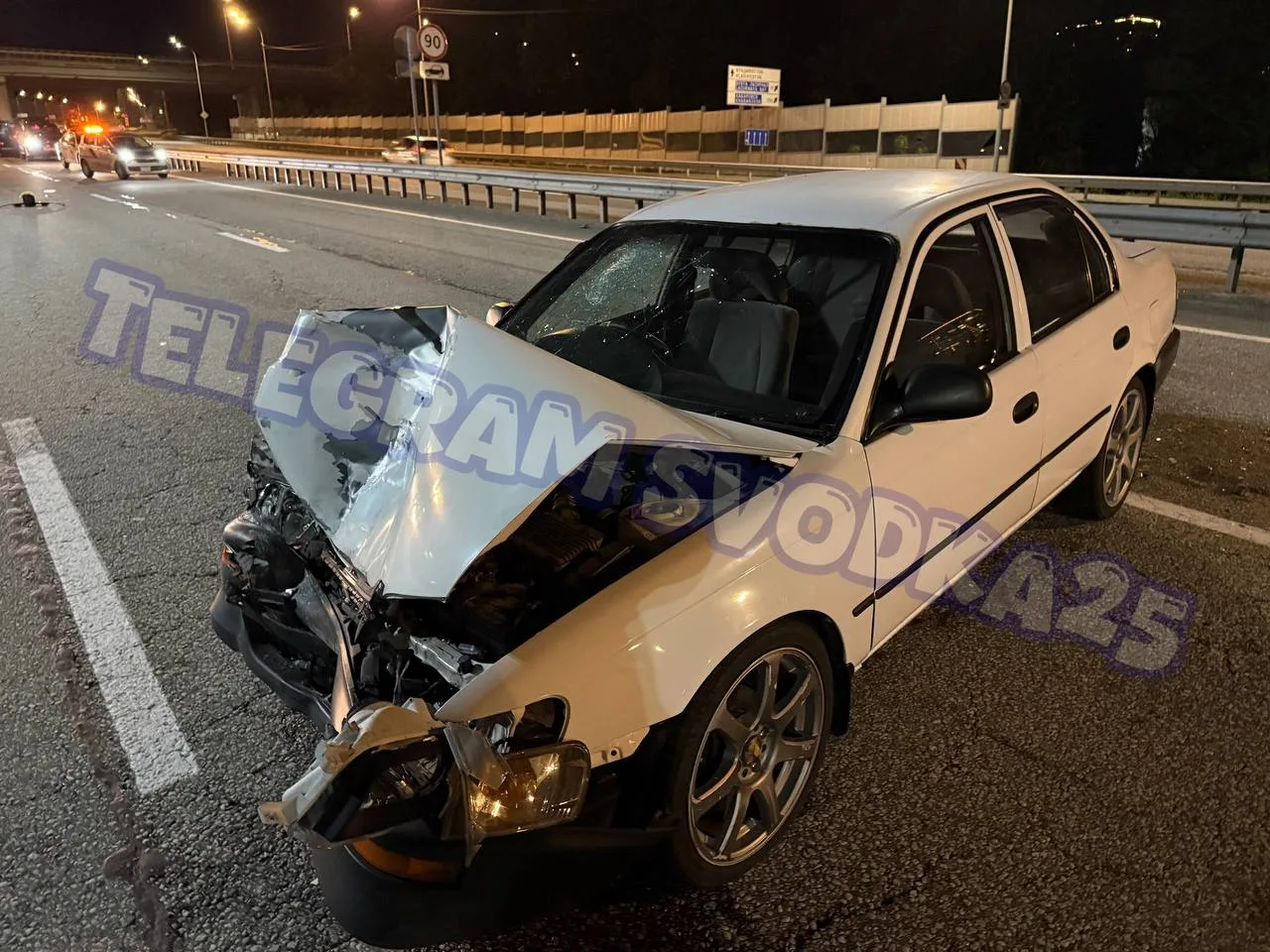 Во Владивостоке на Маковского произошло жесткое тройное ДТП, в котором погибла собака — водитель Кор