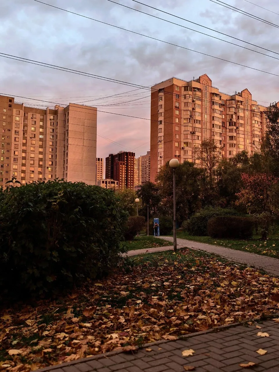 Золотая осень в парке: два медведя 🙂