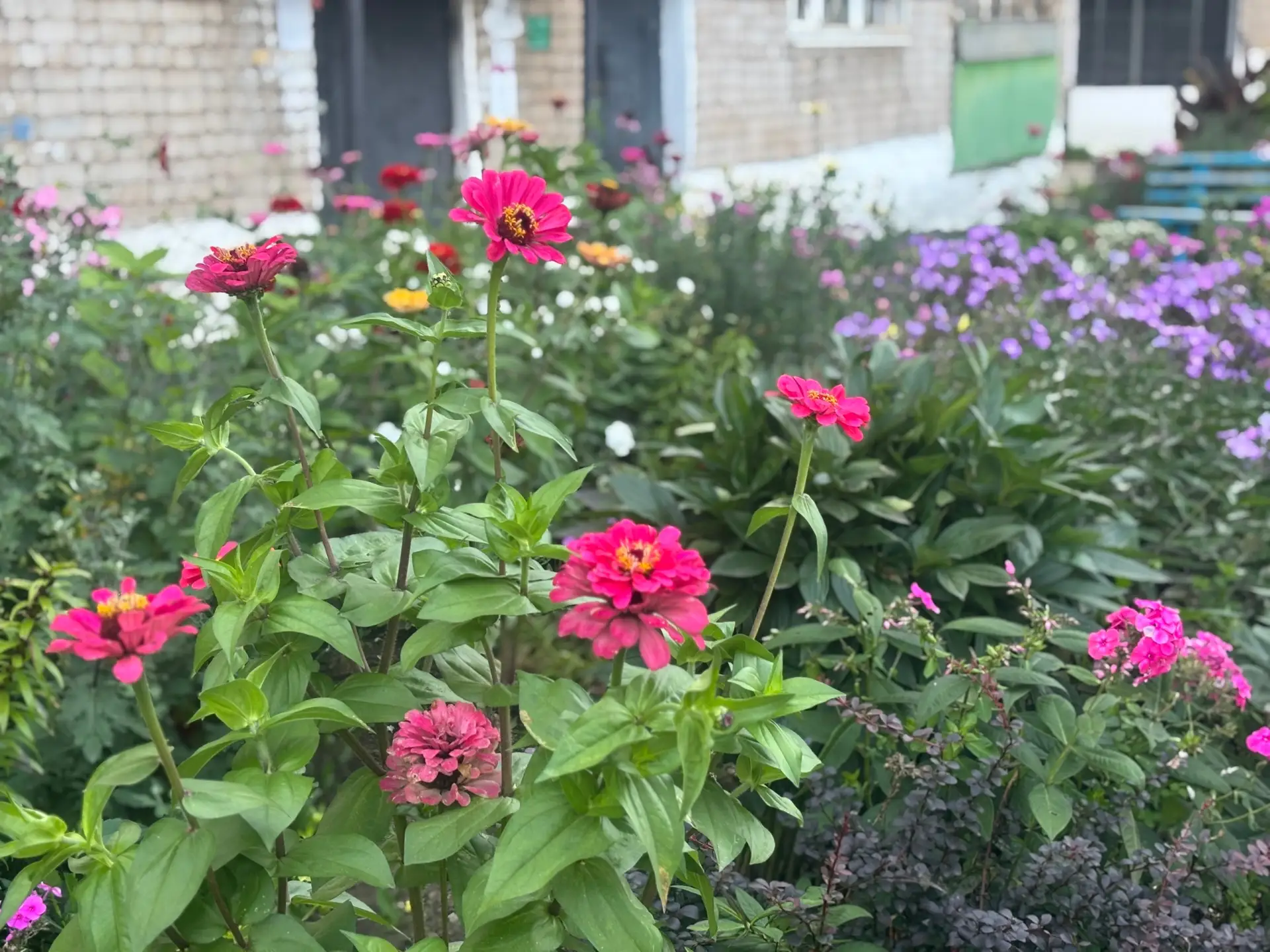 Доброе утро от самого цветочного двора на Красноармейской 😍