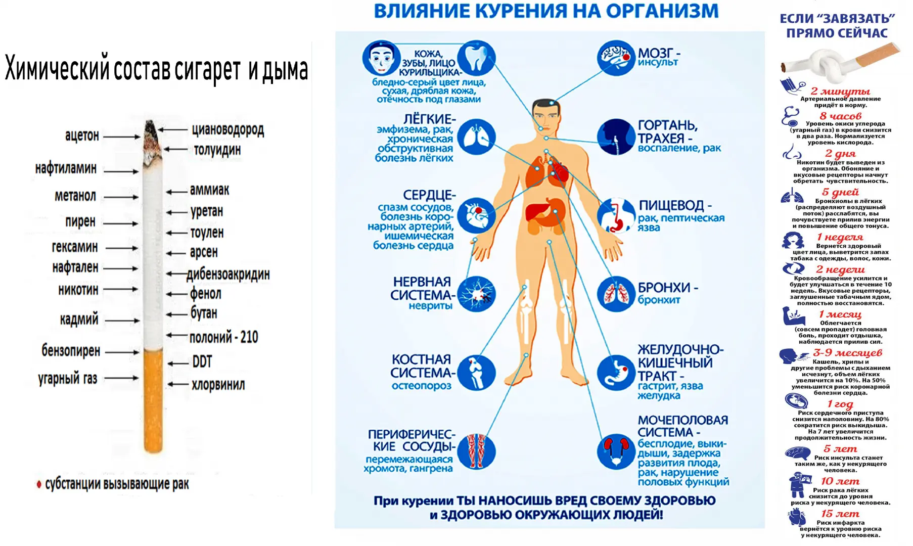 Курение забирает больше, чем вы думаете 🚭