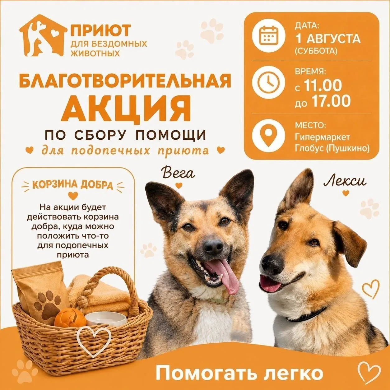 🐶 В эту субботу в Пушкино пройдет благотворительная акция в поддержку приюта для животных «ЗОО ДОМ»