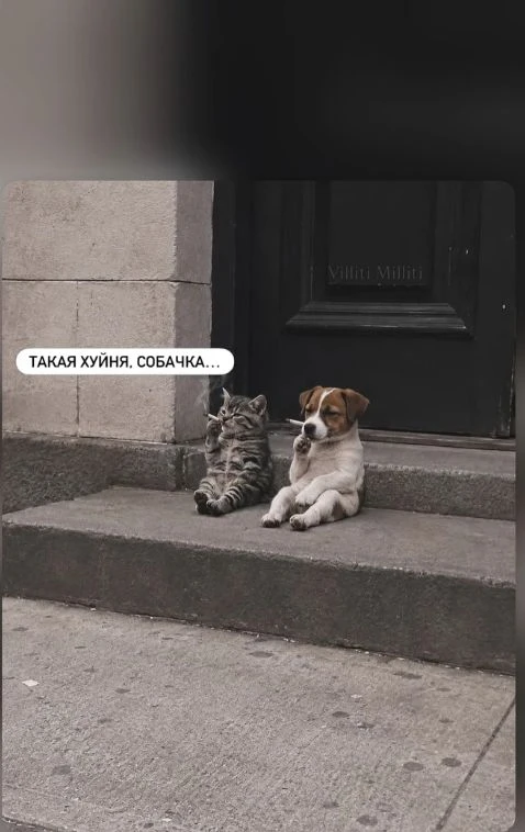 Это лишь малая часть итогов лета. А это мы с Сергеем слегка уставшие, но счастливые