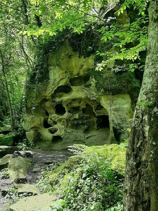 Сырный Камень