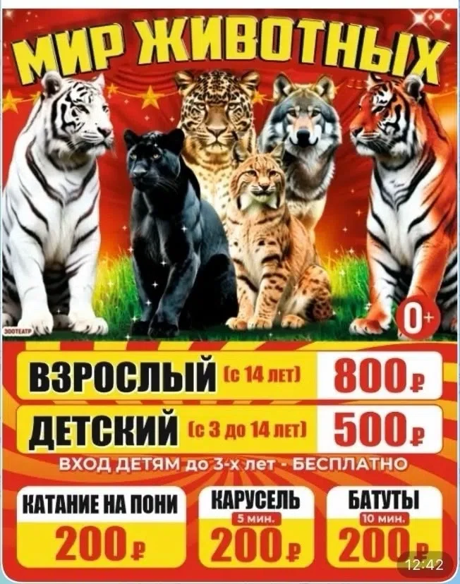 🐅✨ Впервые в г. Павловск: Встречайте Царей Джунглей и других диких животных! ✨🐅
