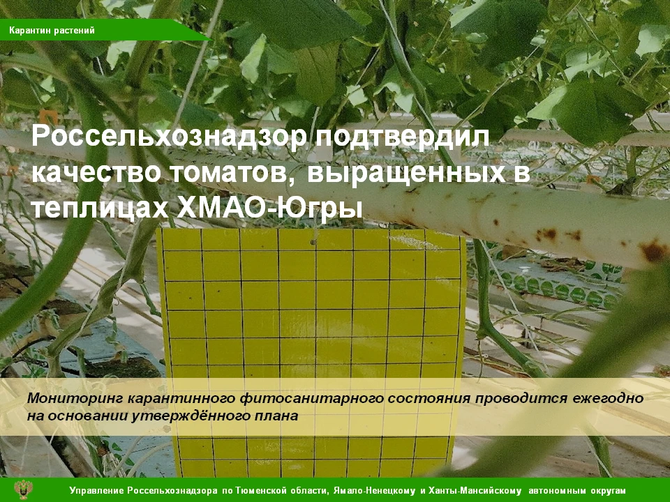 📝 В июне 2026 года Управление Россельхознадзора было проинформировано о первых итогах мониторинга к