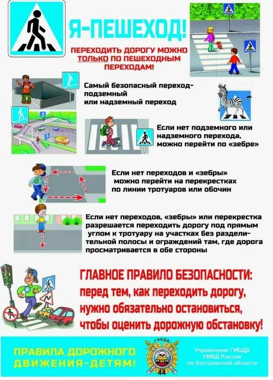 Почему важно переходить дорогу по правилам