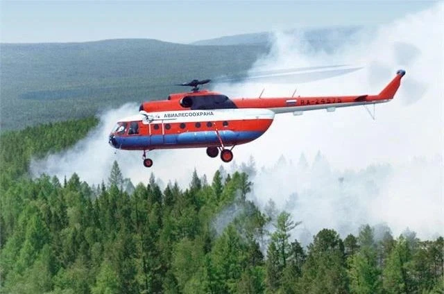 Оперативная сводка по лесным пожарам на 9:00 4 августа 2026 г.