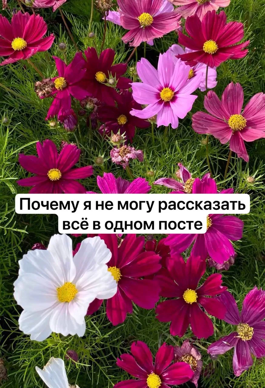 Доброе утро, мои дорогие!