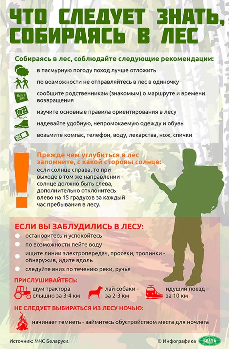 ПОМНИТЕ, ЛЕС - ЭТО МЕСТО ПОВЫШЕННОЙ ОПАСНОСТИ

Что нужно сделать и что взять с собой при подготовке 