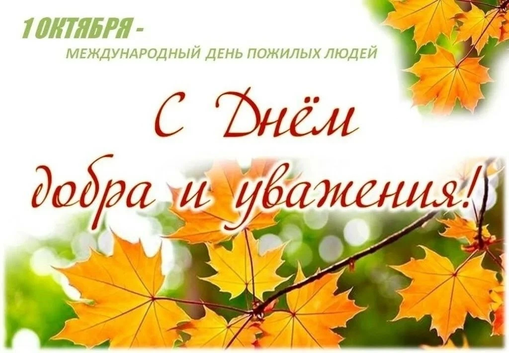1 октября - День мудрости, добра и уважения!