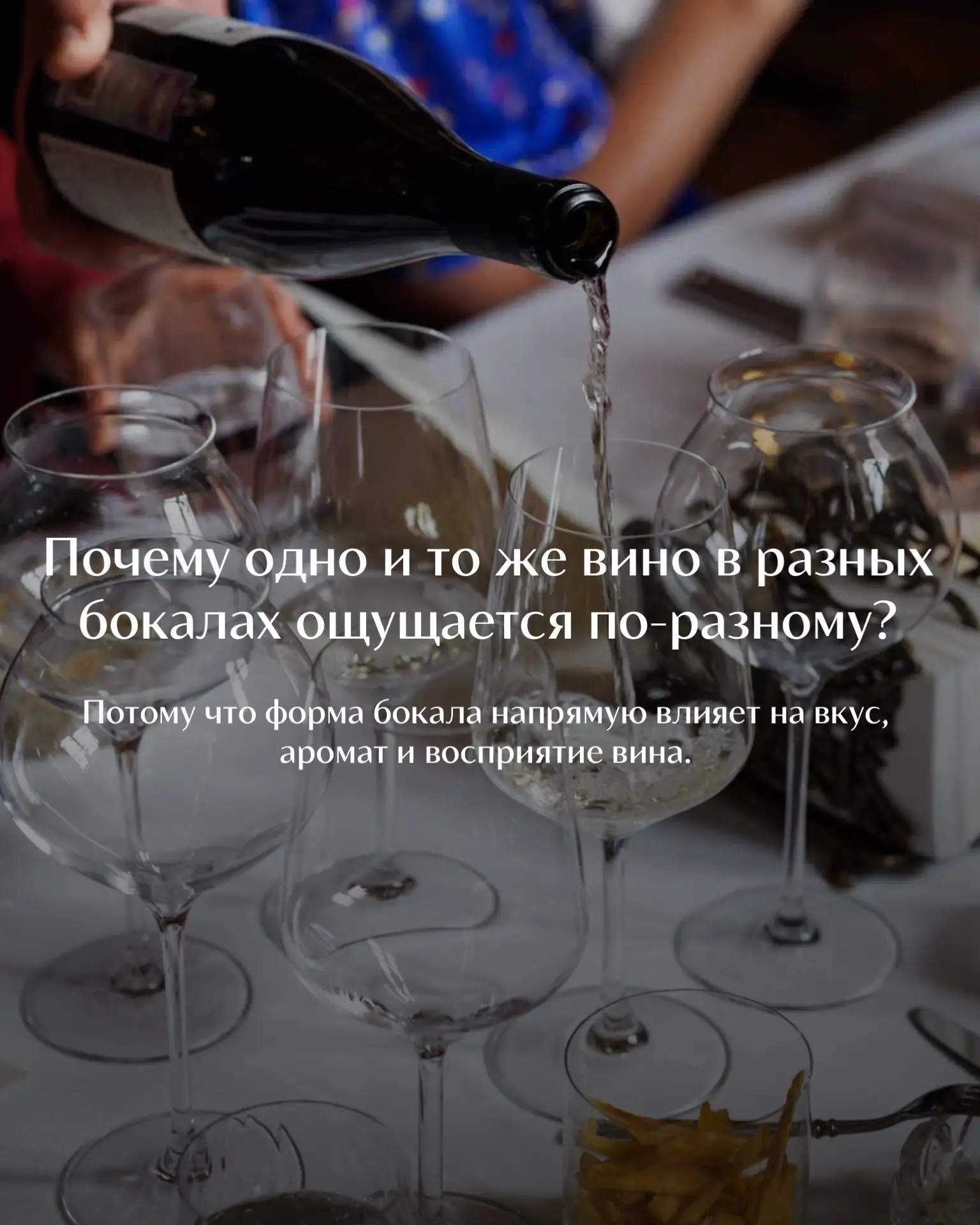 Почему для вина существует столько разных бокалов? 🍷