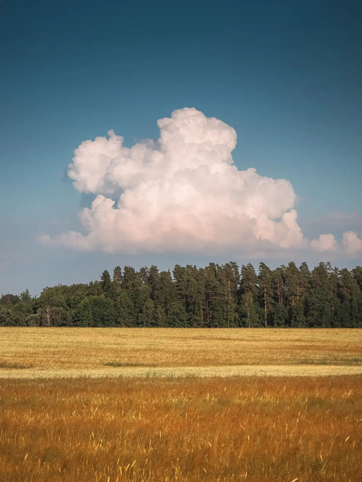 Чем тише у тебя внутри,