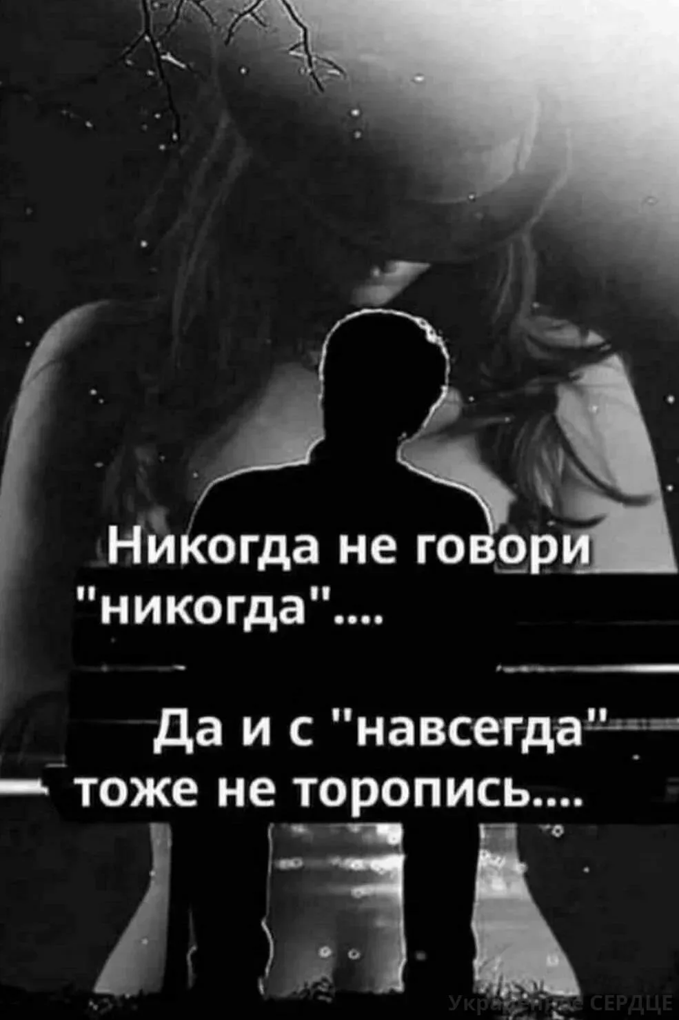 ▬▬▬▬▬▬▬▬▬▬▬▬▬