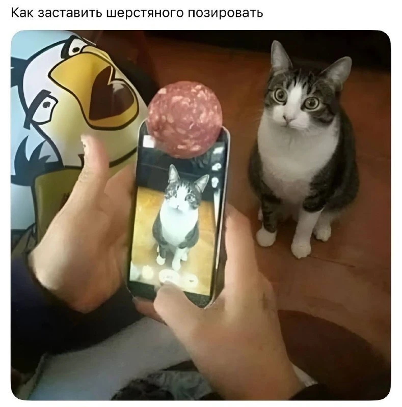 Хорошая идея 😆