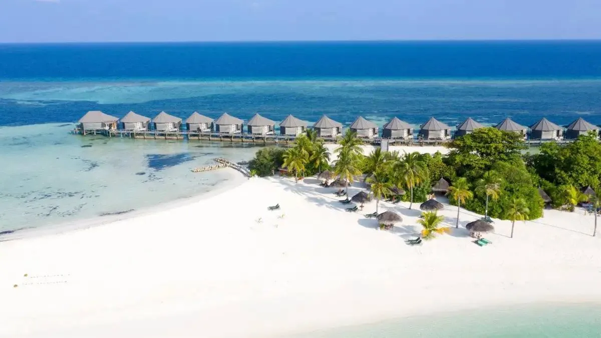 🇲🇻ЛЕТИМ НА МАЛЬДИВЫ В МАЕ 🏝️