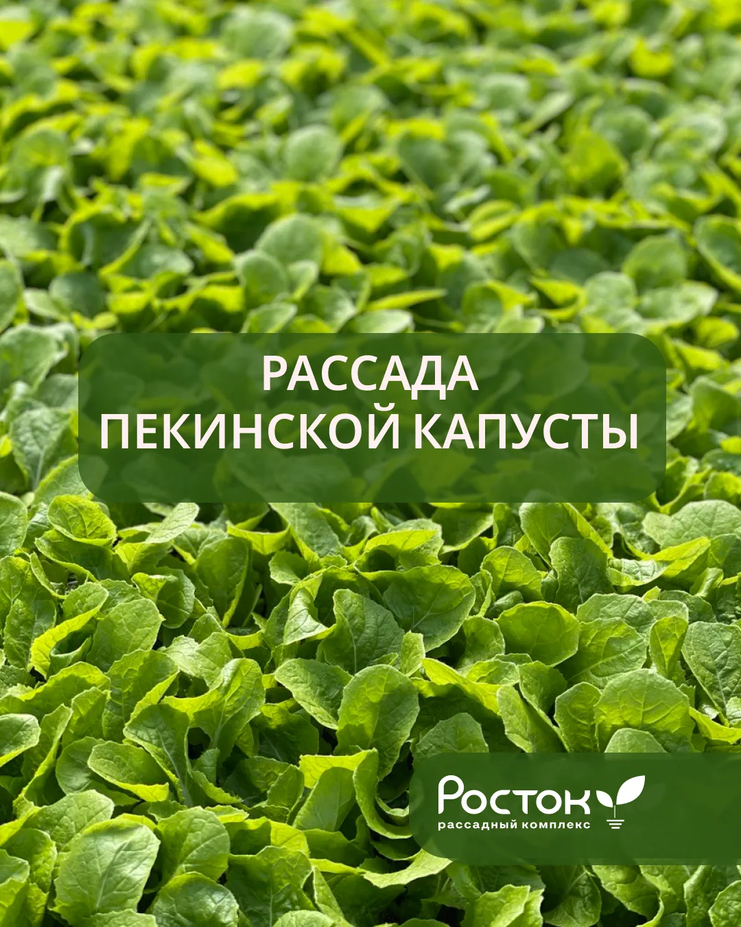 ⚡️⚡️⚡️Не упустите время: