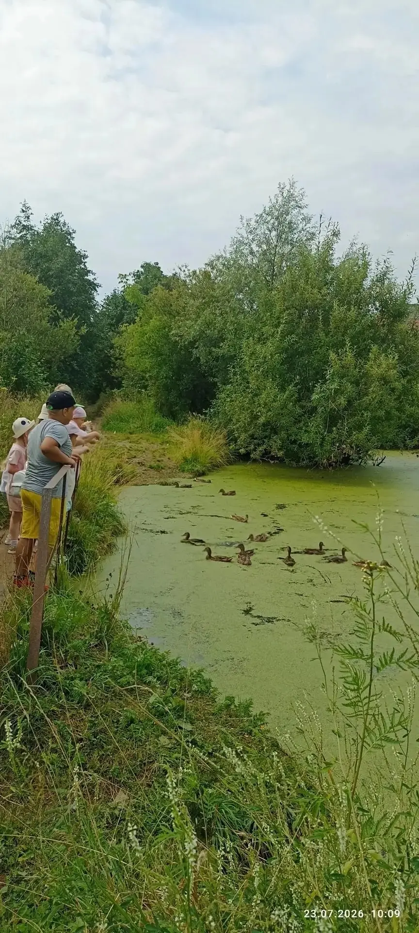 Кормили уточек . Очень увлекательно🦆