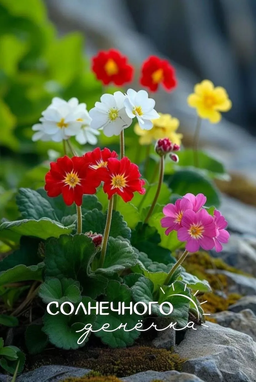 #хорошегодня