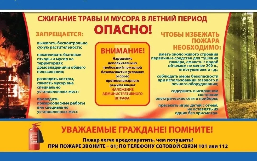 🌞🌿Лето дарит детям прекрасную возможность проводить больше времени на свежем воздухе!