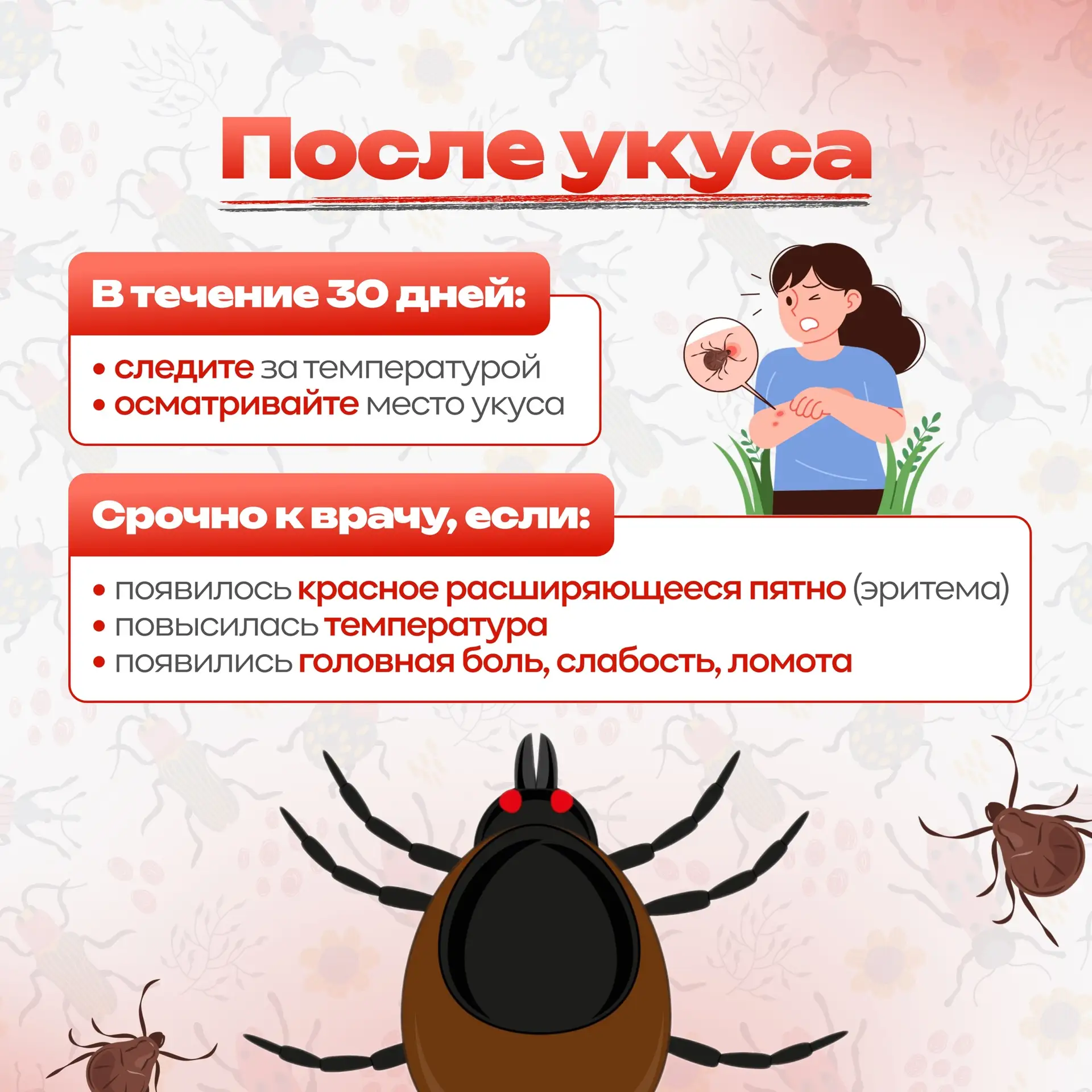 🐜🔎 Ура! Мы подготовили для вас памятку «Сезон клещей»!  📘 Теперь вы точно знаете, как обезопасить се