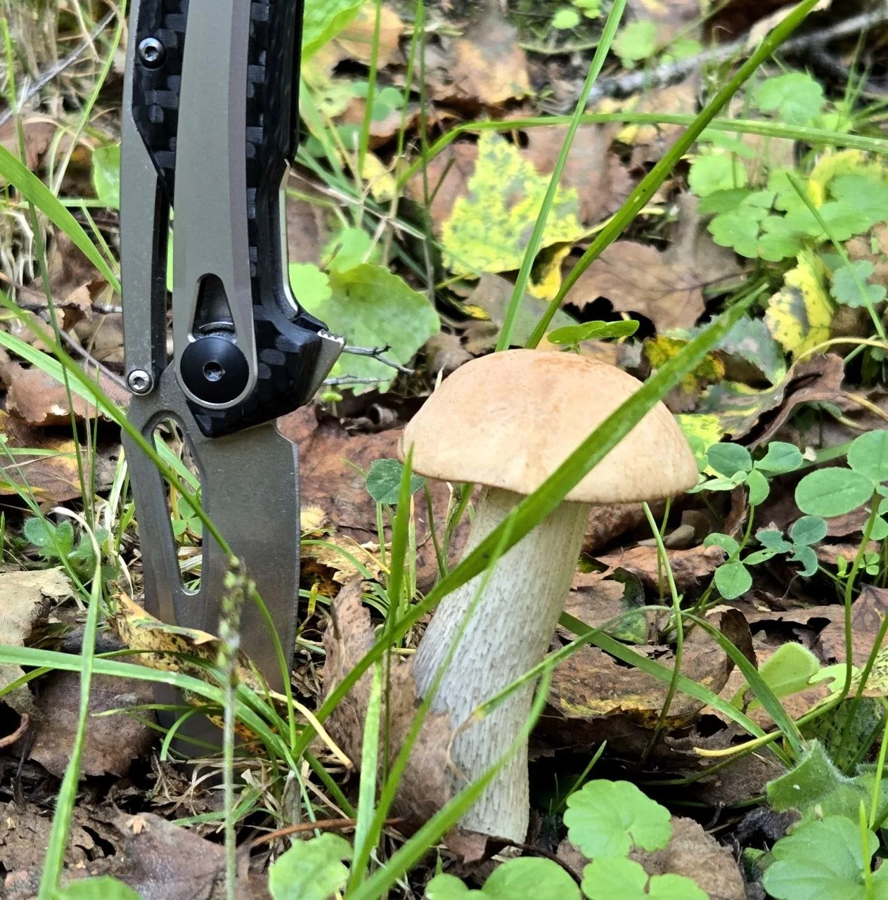 Проводим выходные продуктивно 🔪🔪🔪