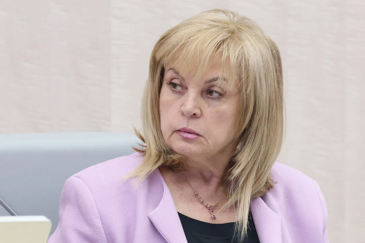 Памфилова заявила, что большинство избирателей планируют проголосовать очно