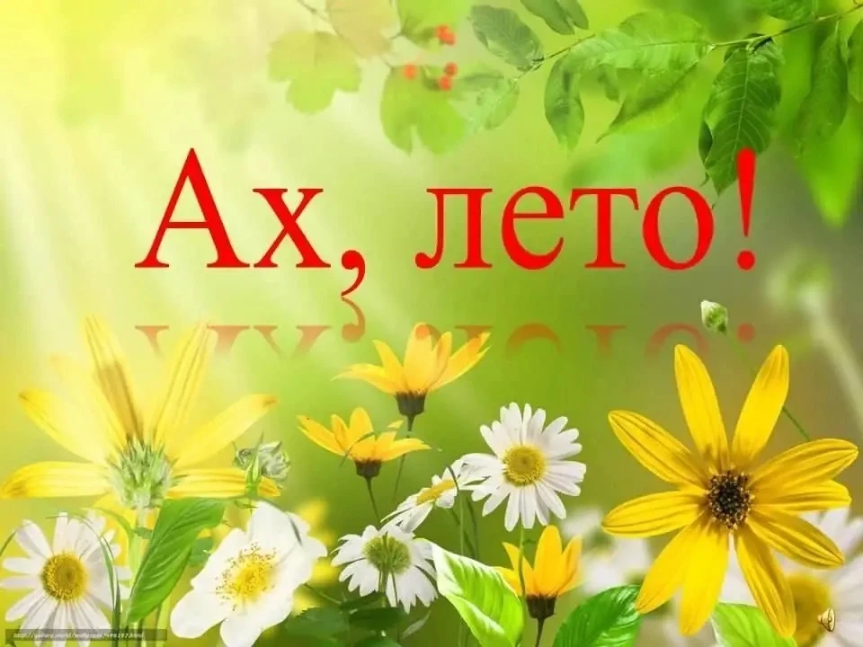 Лето пахнет земляникой,
Тёплым дождиком, клубникой.
Пахнет лето огурцами
И душистыми цветами,
Серебр