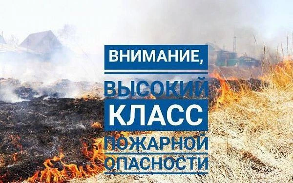 Прогноз лесопожарной обстановки