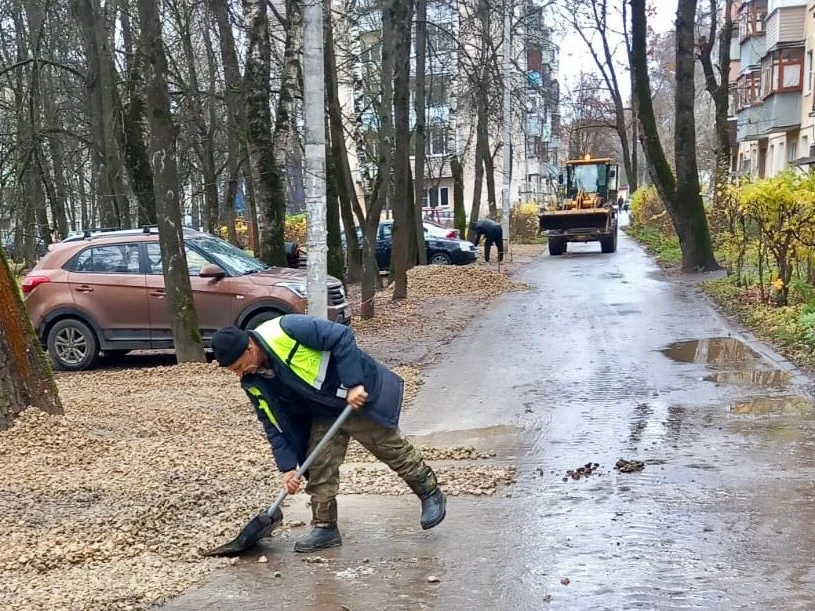 🌳🪓 Несанкционированная вырубка деревьев и засыпка газона щебнем под парквоку привела к привлечению
