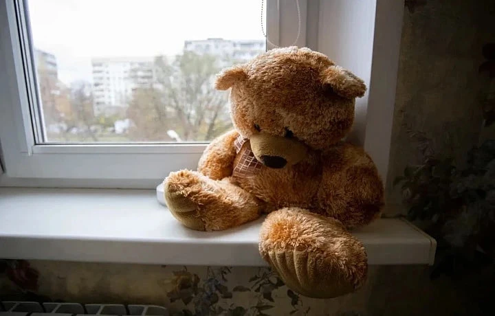 В Тульской области подростки стали жертвами секты педофилов «Империя Гусей»
