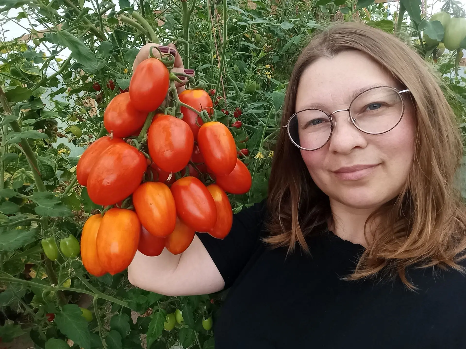 Поговорим о семенах томатов. Сейчас много разных агрофирм и цены на семена разные.